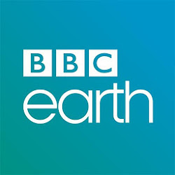 Attenborough’s Story of Life v1.0.2 Full APK Attenborough’s Story of Life v1.0.2 Full APK