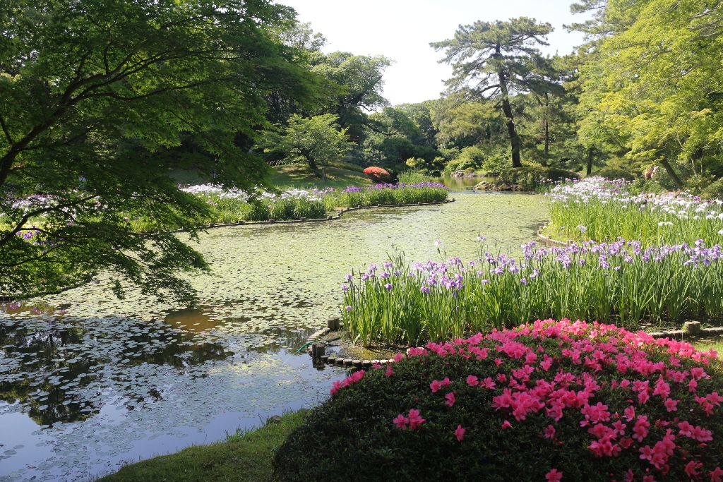 1806日本四國 栗林公園