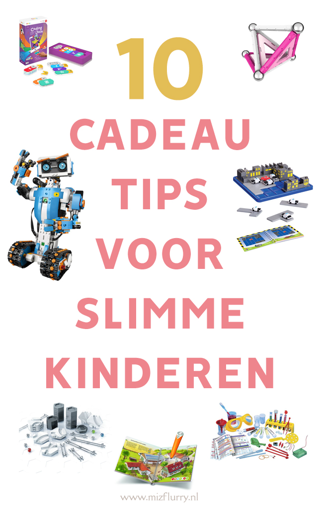 Uitdagend voor kinderen - 10 cadeautips - MizFlurry