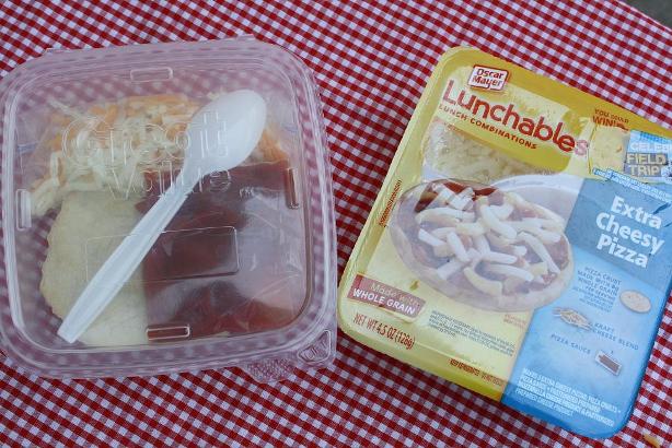 Over 20 DIY Lunchable Ideas That Kids Will Love!