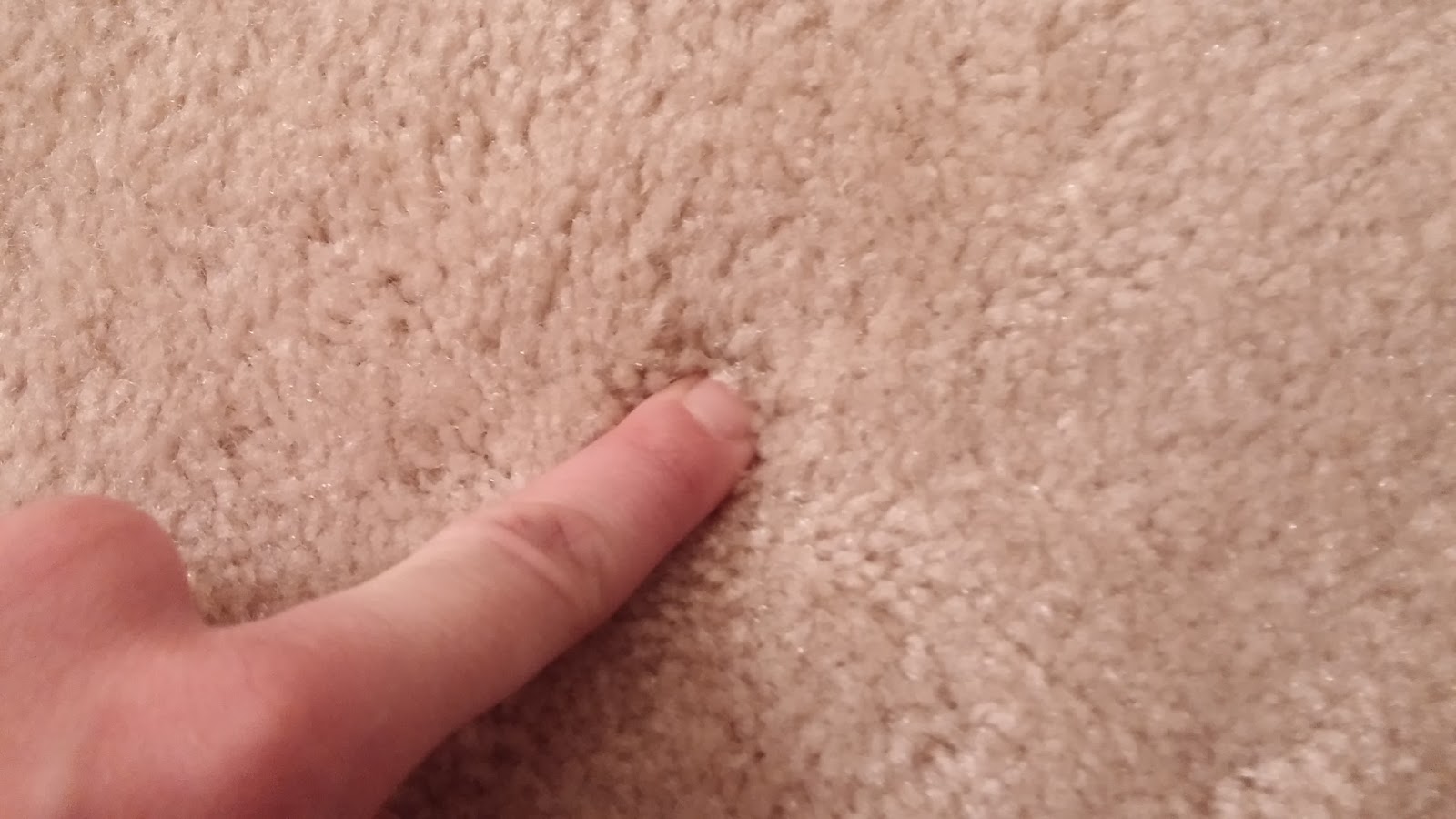 Fix Lovely How to fix burn marks in your carpet