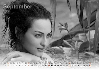 Sonakshi Sinha Calendar 2012 New Year 2012