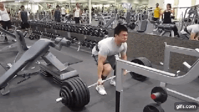 5.gif