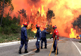 Lutte contre les feux de forêt