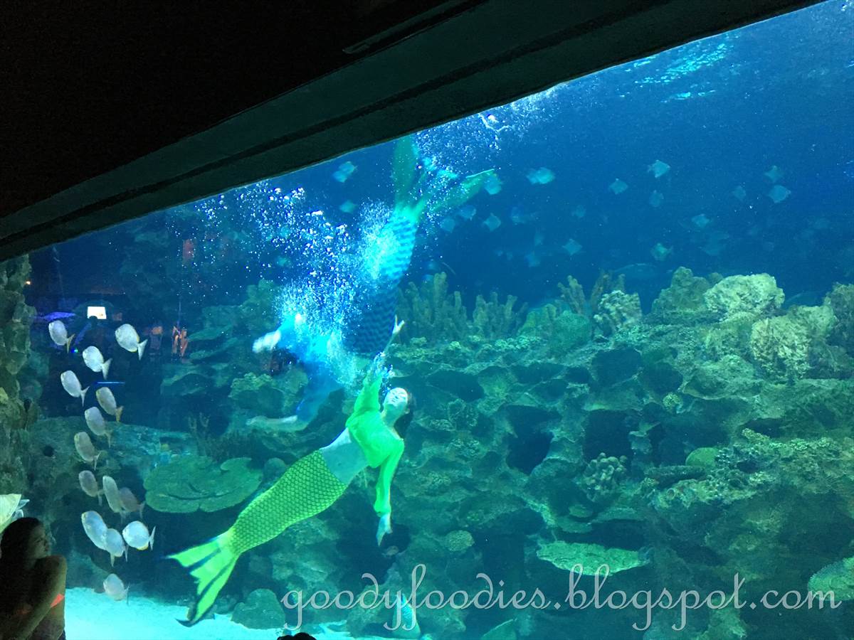GoodyFoodies Mermaids Aquaria KLCC, Malaysia