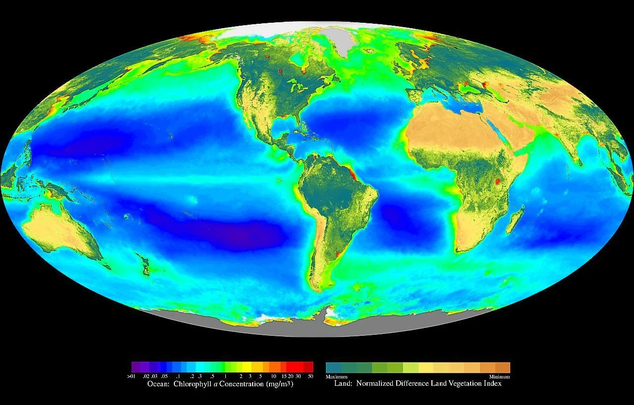 Global distribution of photosynthesis including phytoplankton & vegetation