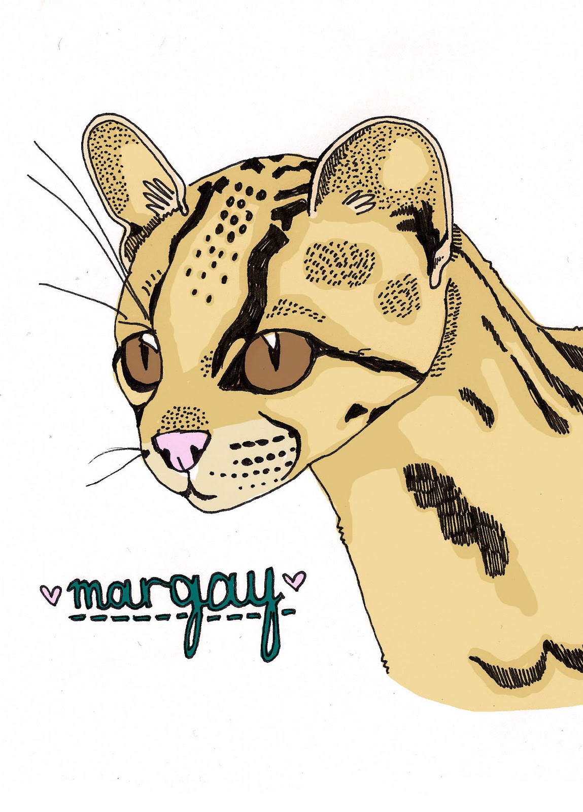 Download Jess Marshall Illustration: Lovely Margays