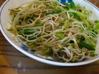 fresh bean sprouts fresh bean sprouts