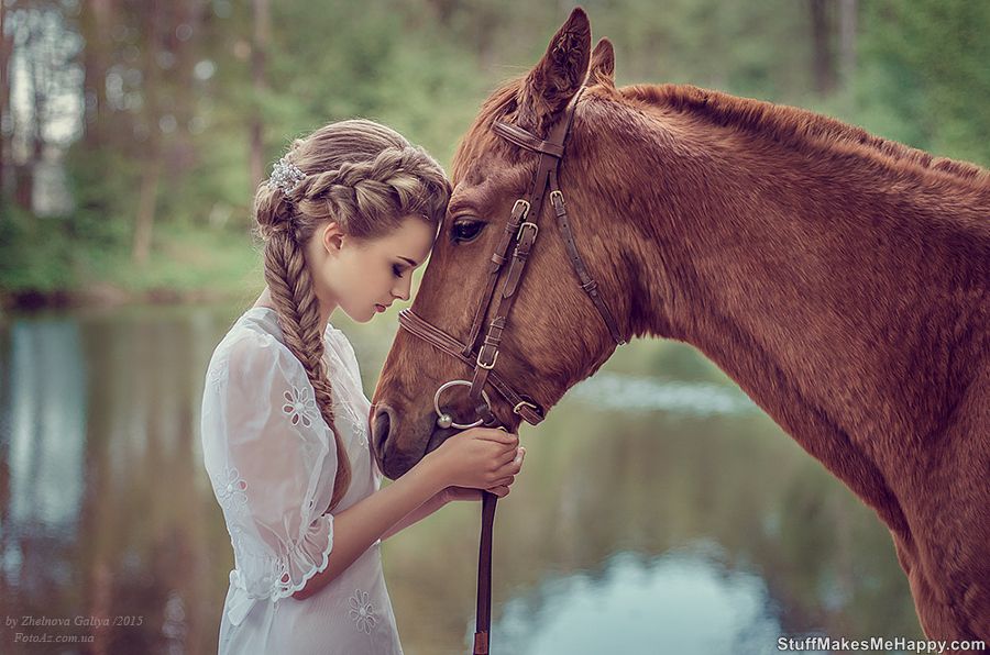 Graceful Horse Pictures that Will Delight Your Day