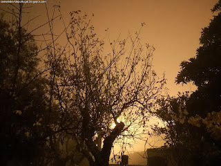 NATURE VIEWS / Fotografias de natureza, Castelo de Vide