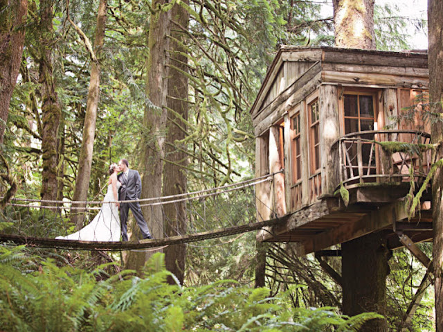 Treehouse Wedding Treehouse Wedding