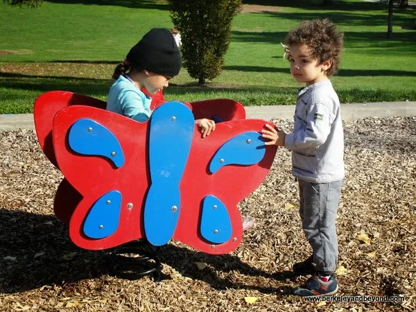 Larkey Park playground in Walnut Creek, California