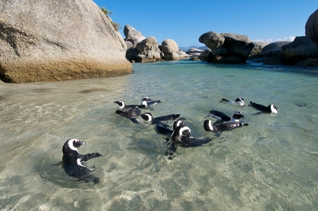 Photogist: 10 Interesting Places To Visit In South Africa South Africa