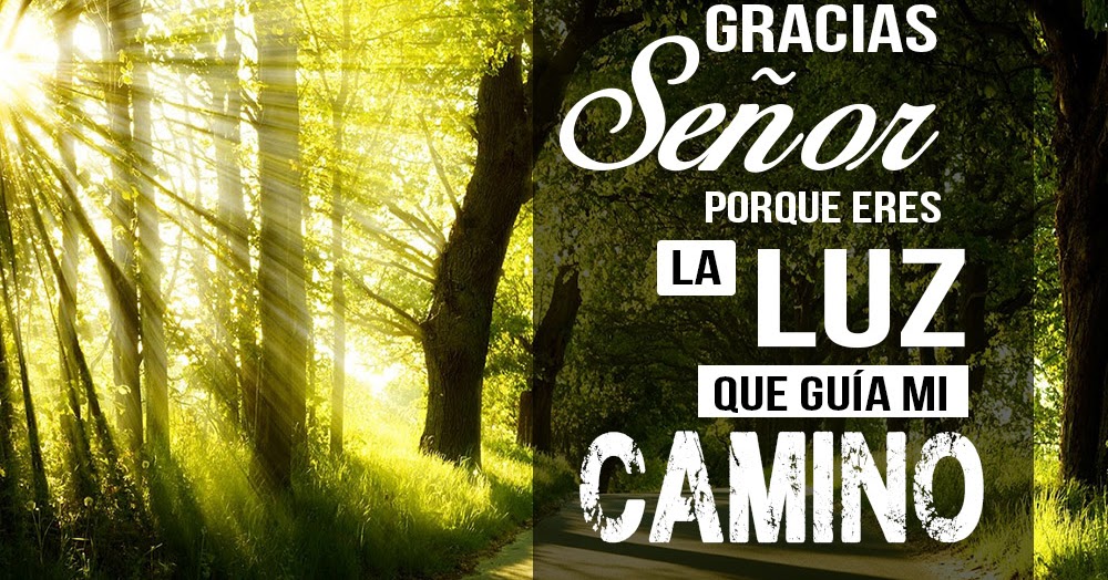 MIGAS de PAN en el camino: DIOS me está guiando!