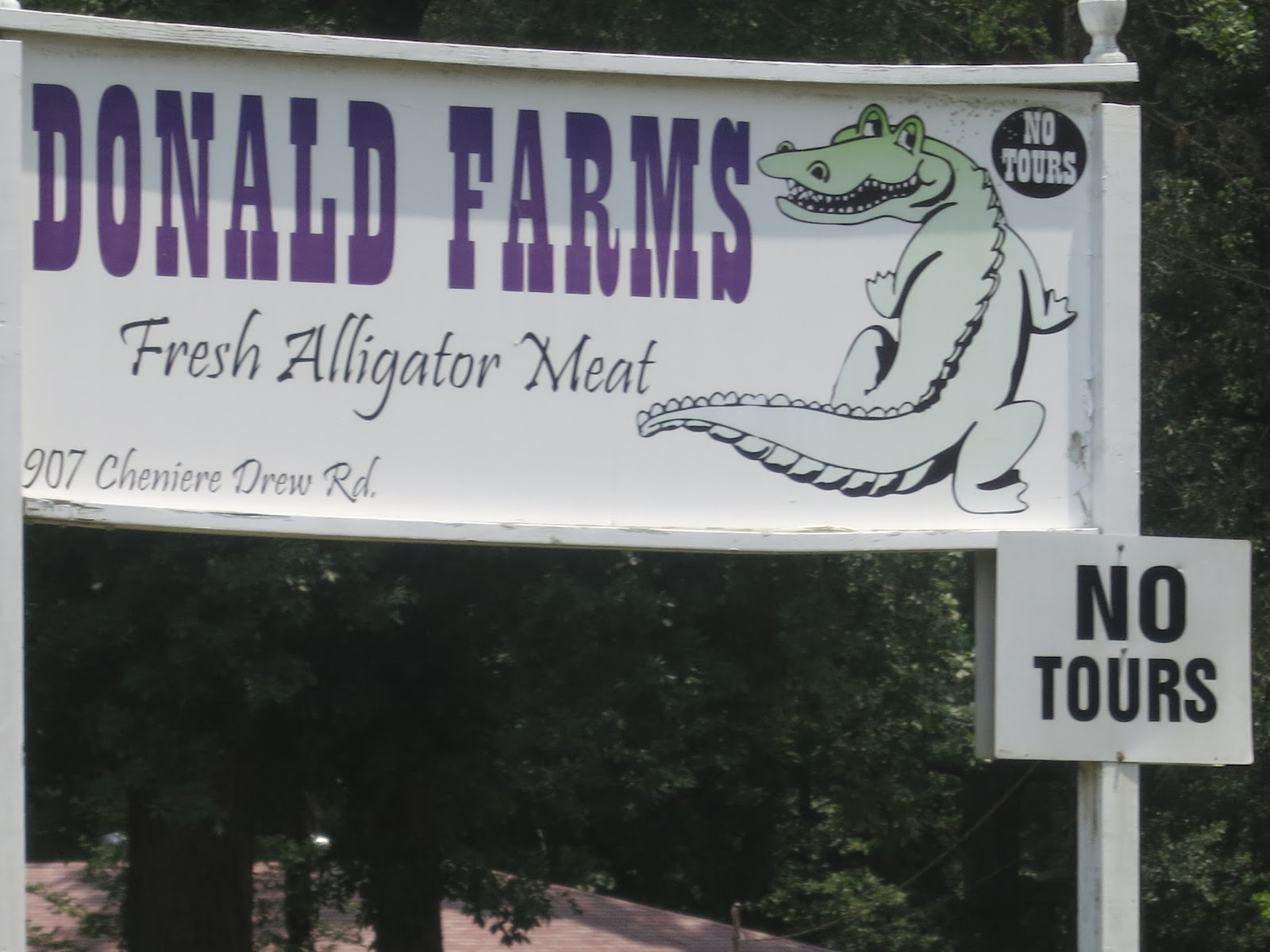 PrunePicker Fresh Alligator meat.