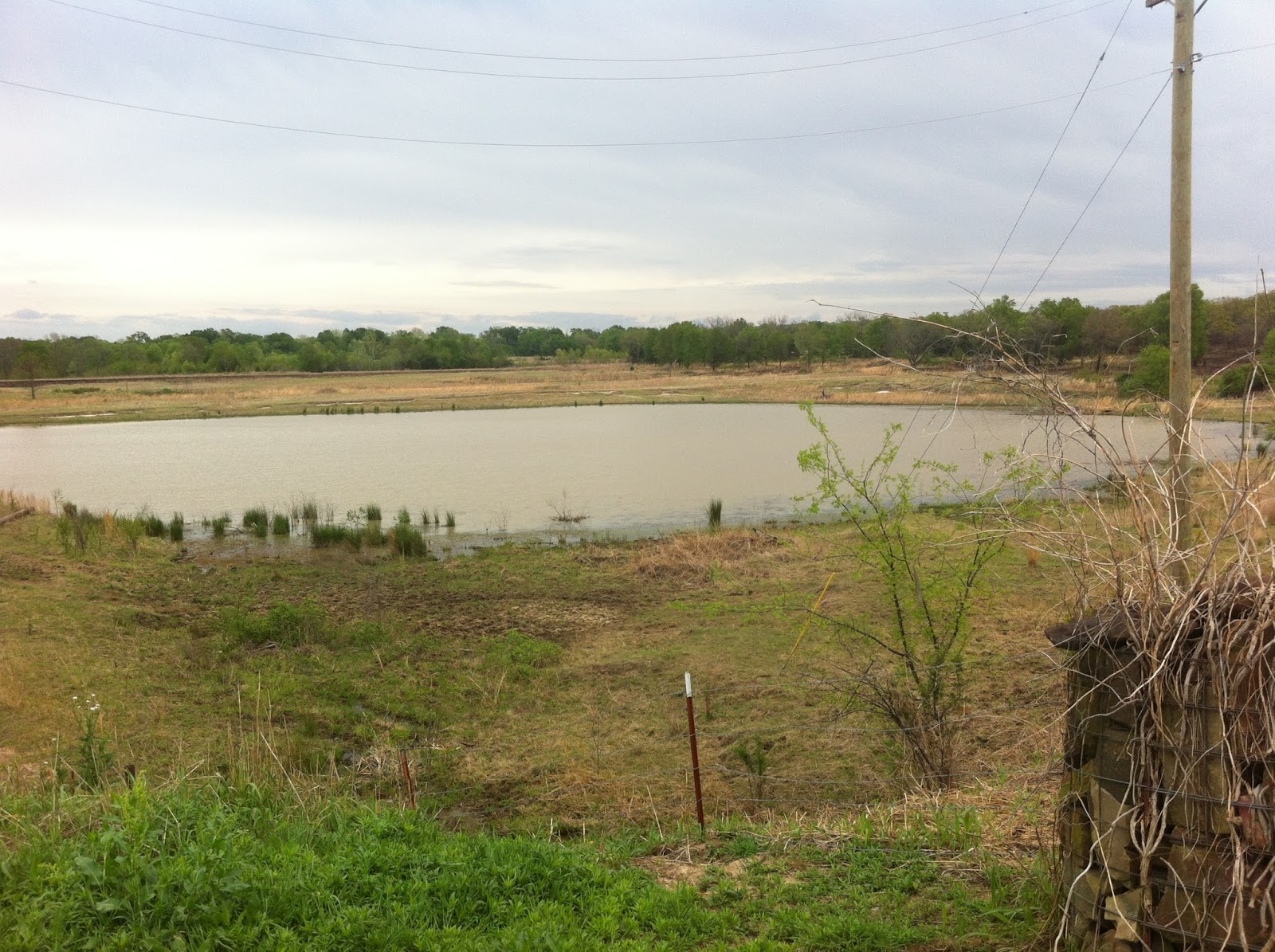 The Salt of America Weogufkee/Muddy Water Cemetery Survey