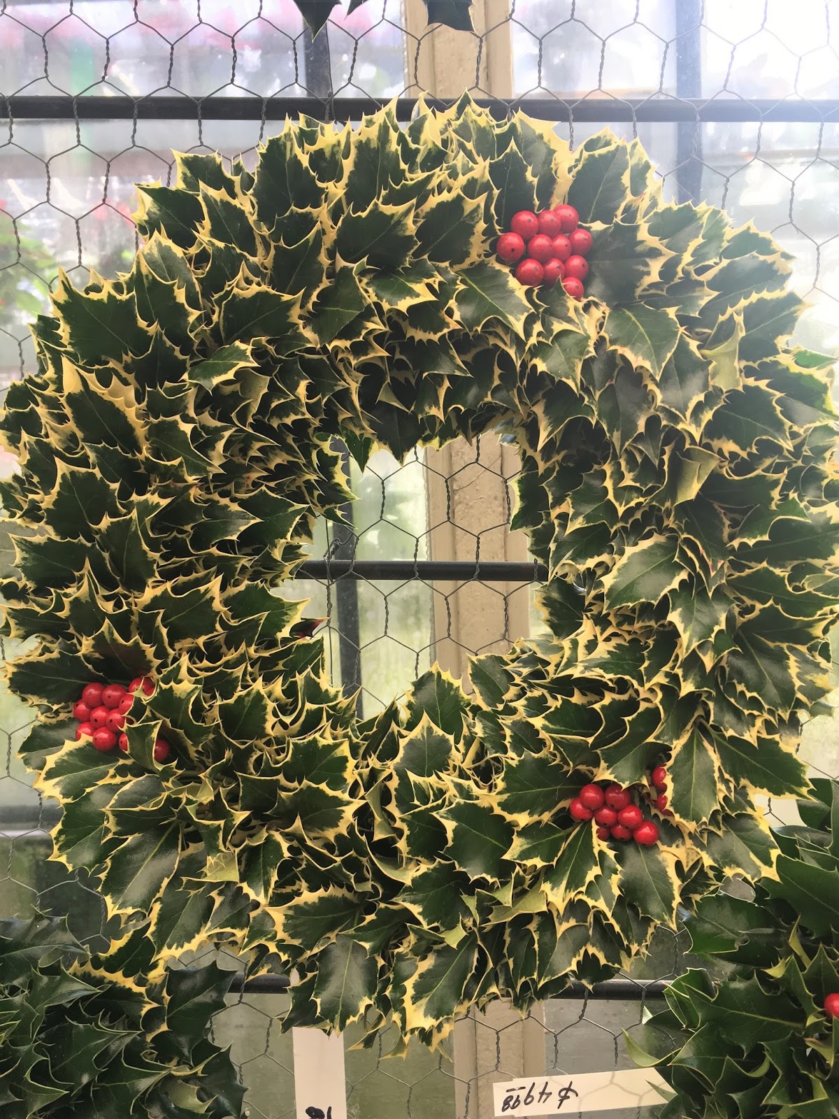 Moments of Delight...Anne Reeves Holly Wreaths Incredible Old World