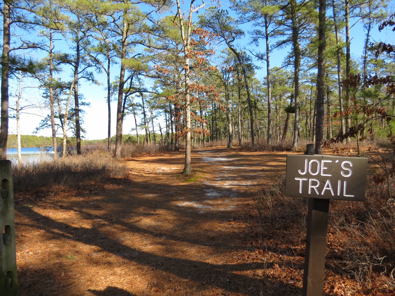 Gone Hikin' Bass River State Forest, NJ Joe's Trail