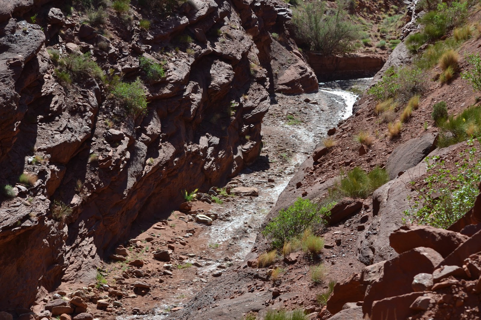 goodtimesrollin Onion Creek, Thompson Canyon, Bever Mesa