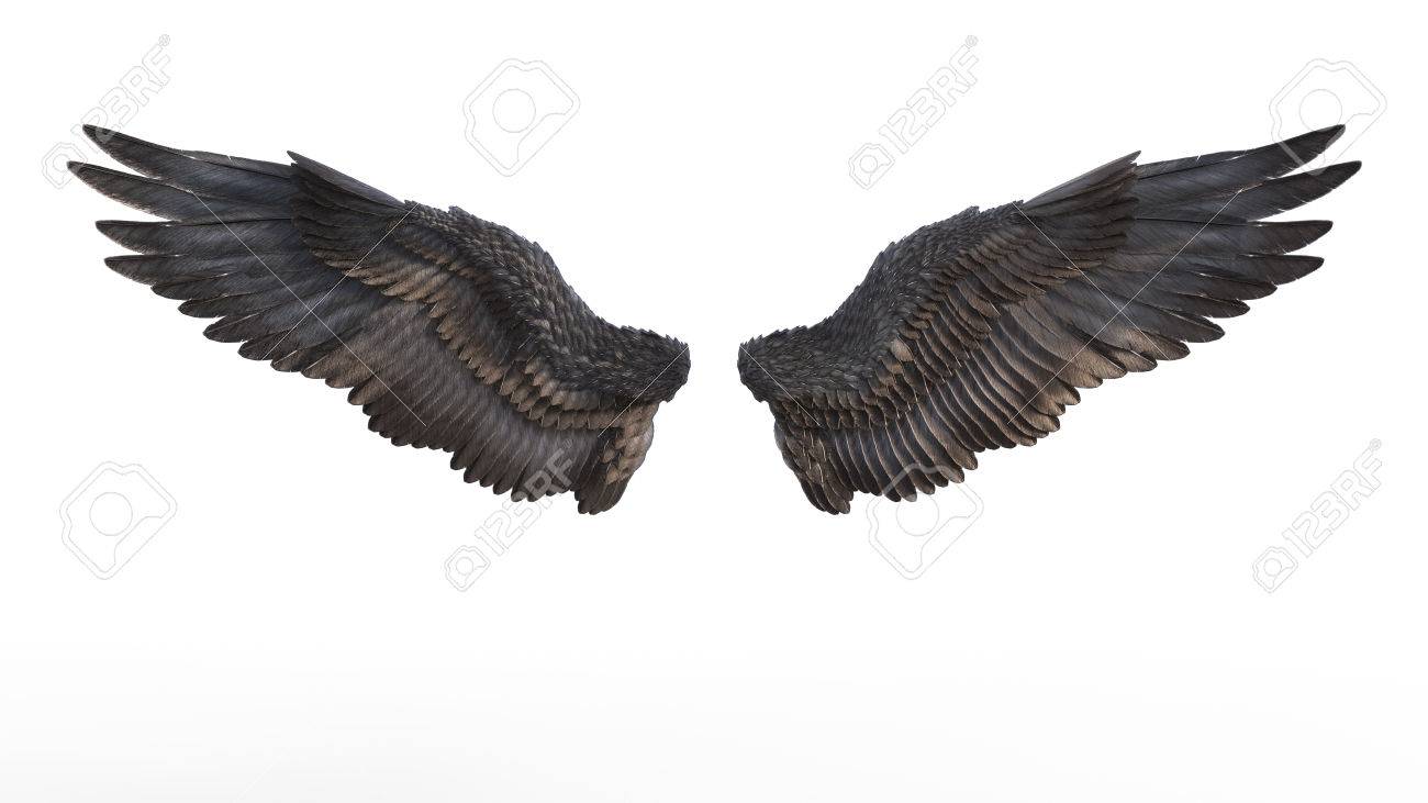Eagle Wings Manipulation Editing Sanjay Edits AnyHow Tech , Tips