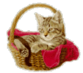 Amazing U Wig Human Hair Wallpaper for Mobile Amazing U Wig Human Hair Wallpaper for Mobile