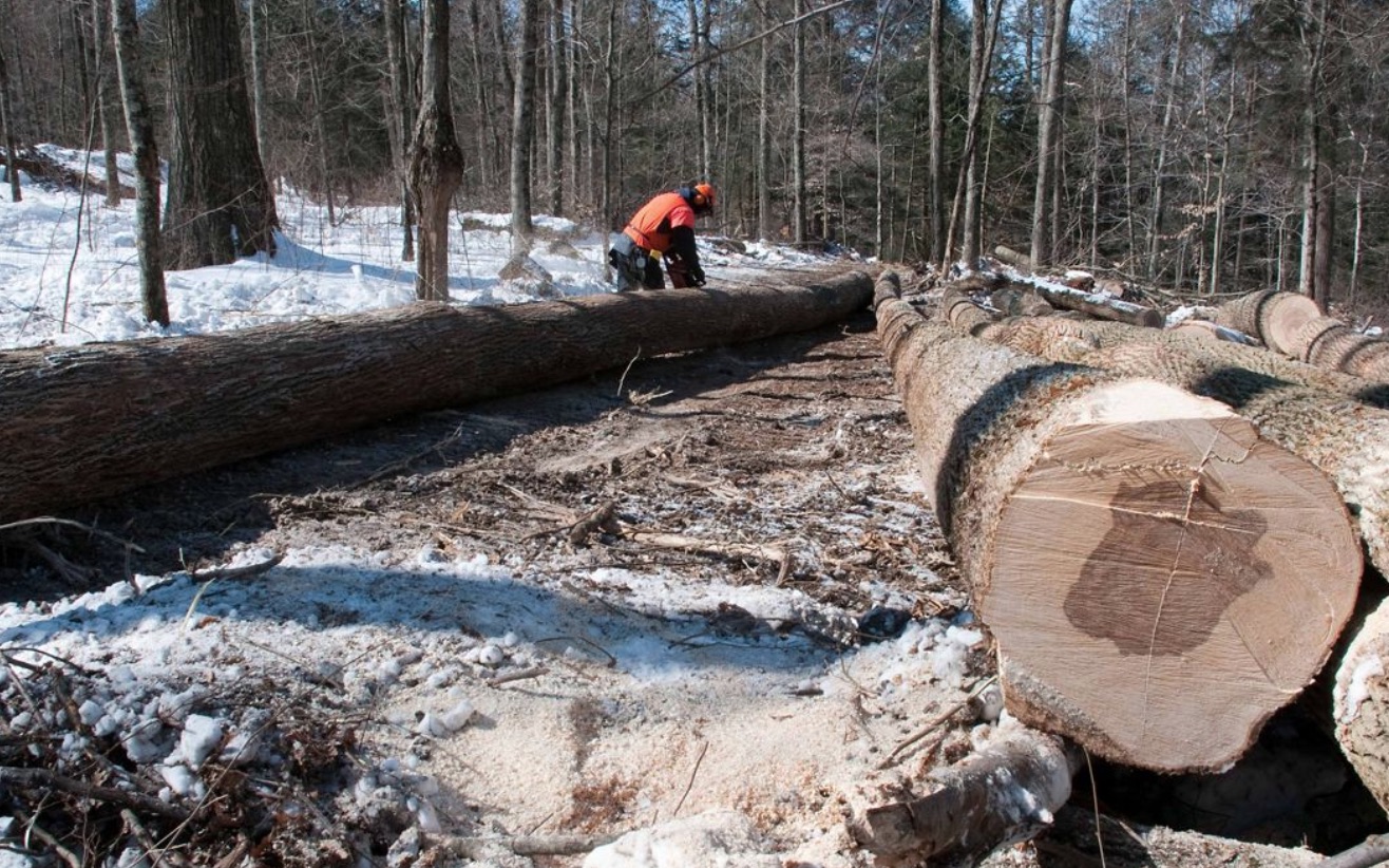 PA Environment Digest Blog: The Nature Conservancy: A Natural Path To U