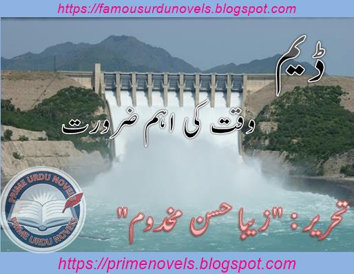 Dam Article by Zeba Hassan Makhdoom
