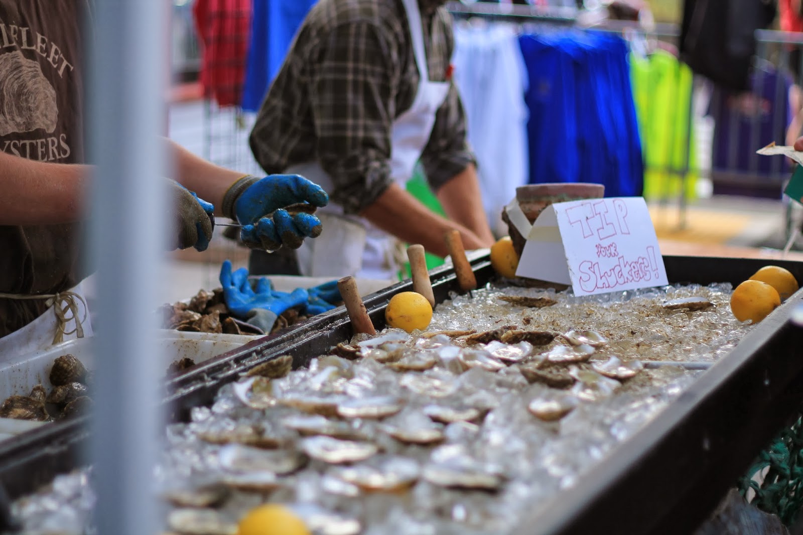 mitcheci photos Cape Cod Oysterfest