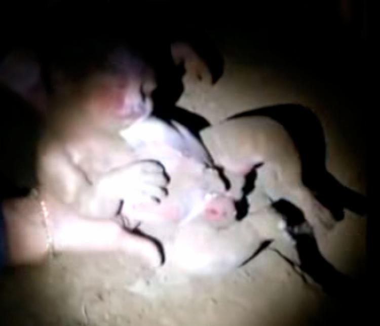 PM resgata bebê que foi enterrada viva pela avó em tribo indígena; veja vídeo