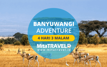 Private Tour Paket Wisata Banyuwangi 4 Hari 3 Malam Adventure