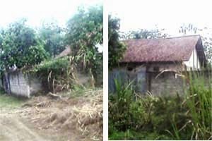 RUMAH DIJUAL DI SELOREJO MOJOWARNO JOMBANG