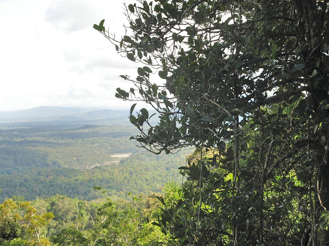 Kuranda rain forest @ in-all-places