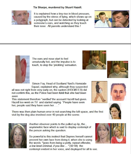 PeterMac's FREE e-book: What really happened to Madeleine McCann? Faking%2Bit%2B2