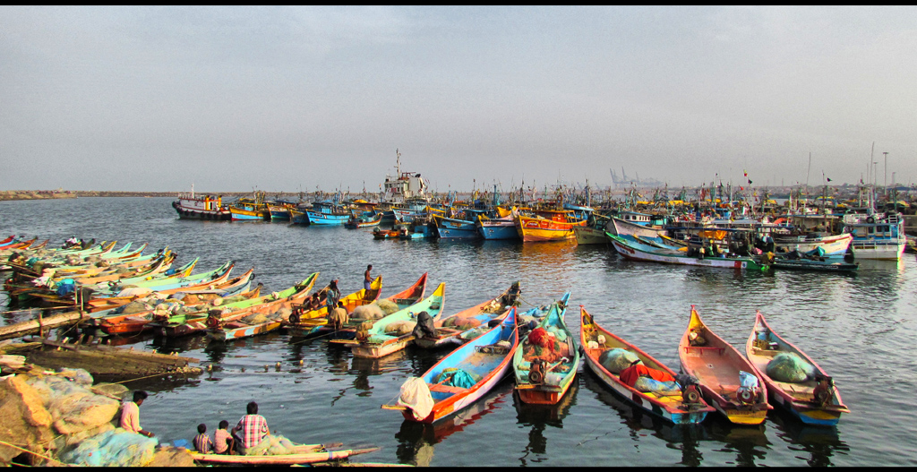 I Love Chennai 1. Royapuram Fishing Harbour and Pier