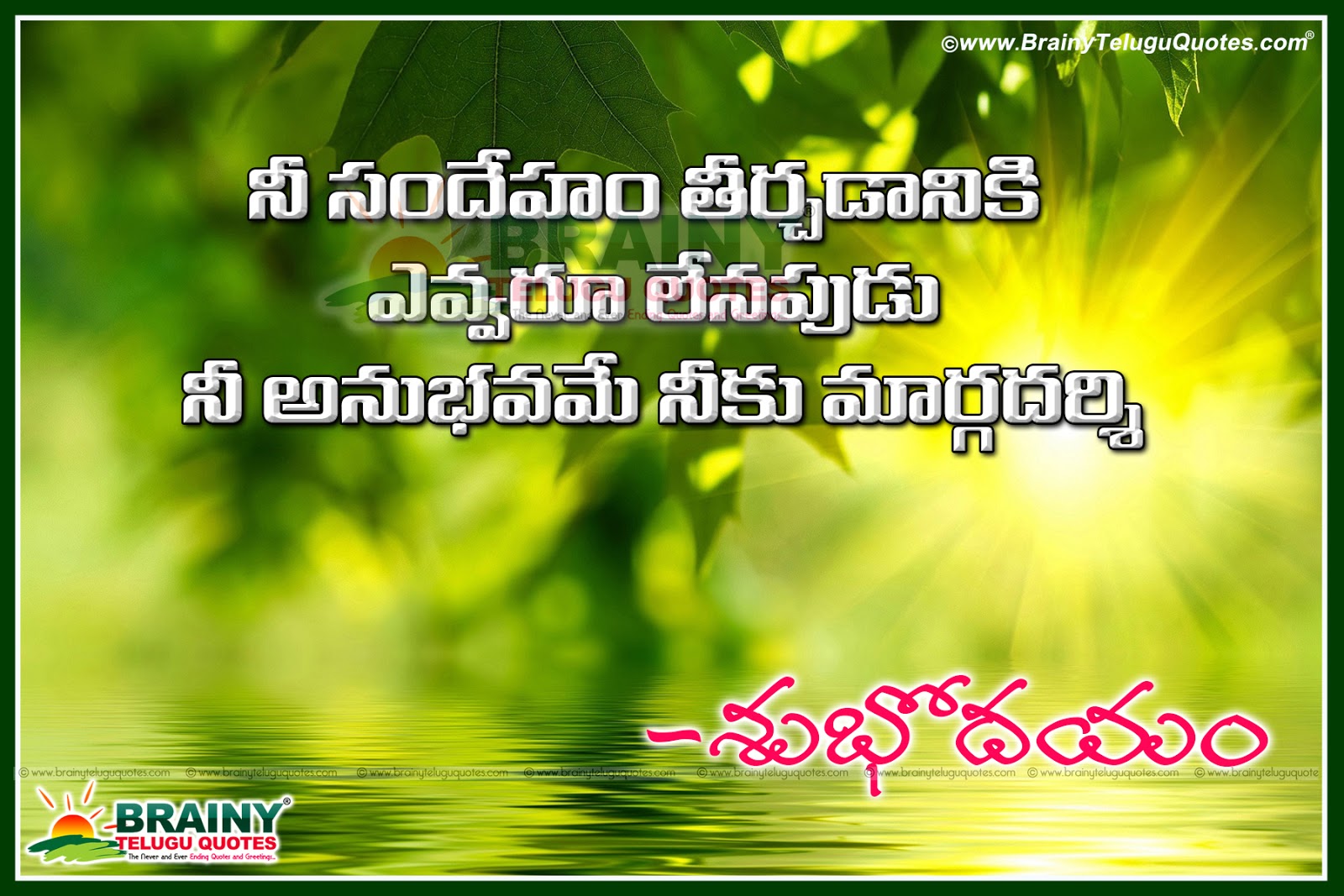 Telugu New Good Morning Greetings with Quotes | BrainyTeluguQuotes