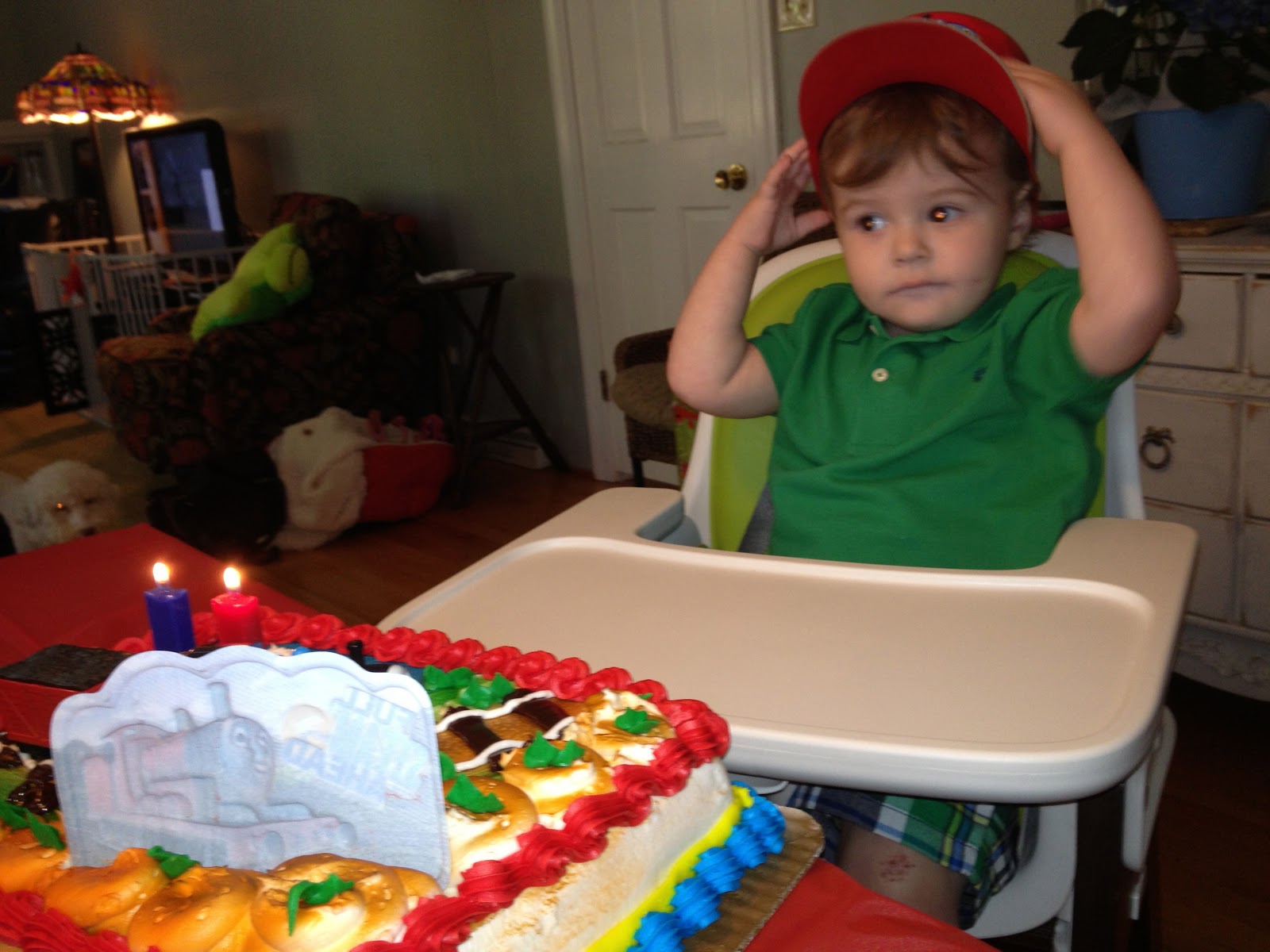 Finding Noah&rsquo;s Voice- Autism Recovery Blog: Happy 2nd Birthday Noah!