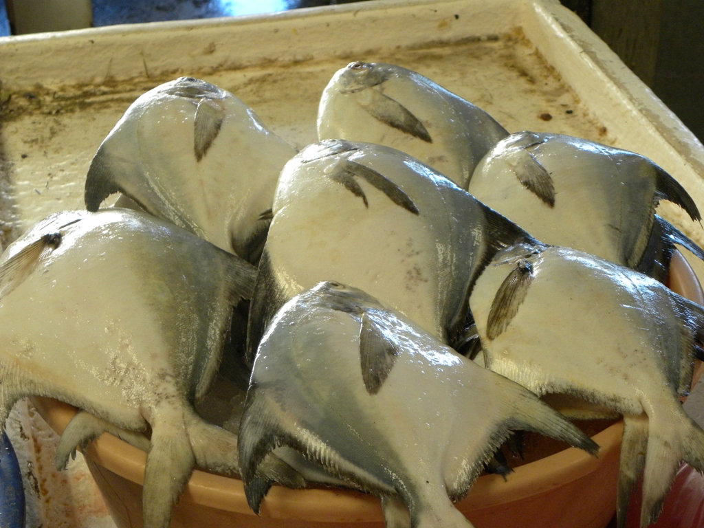 Travels Ballroom Dancing Amusement Parks Dubai Deira Enormous