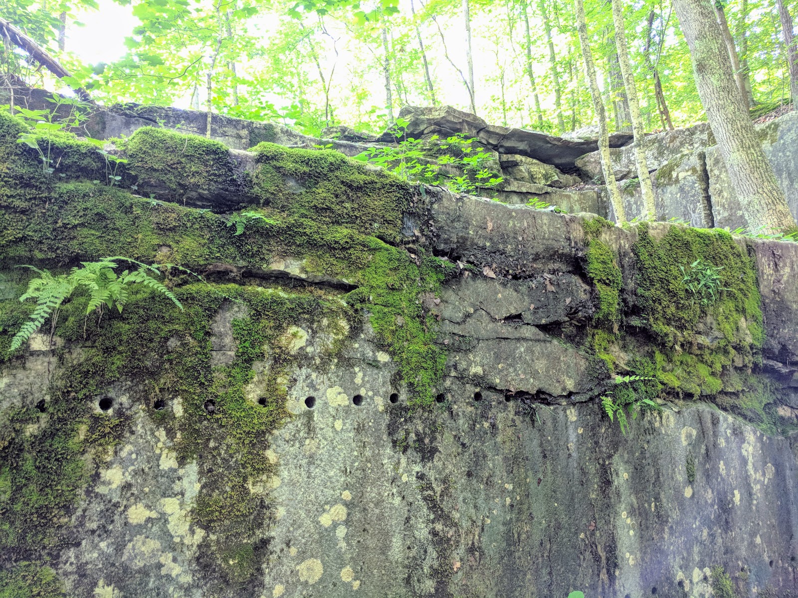 Spencer, IN McCormick's Creek State Park, Old State House Quarry