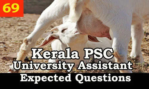 Kerala PSC : Expected Question for University Assistant Exam - 69