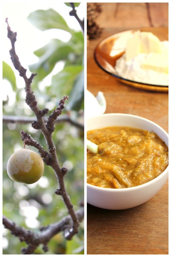 Mermelada de ciruelas
