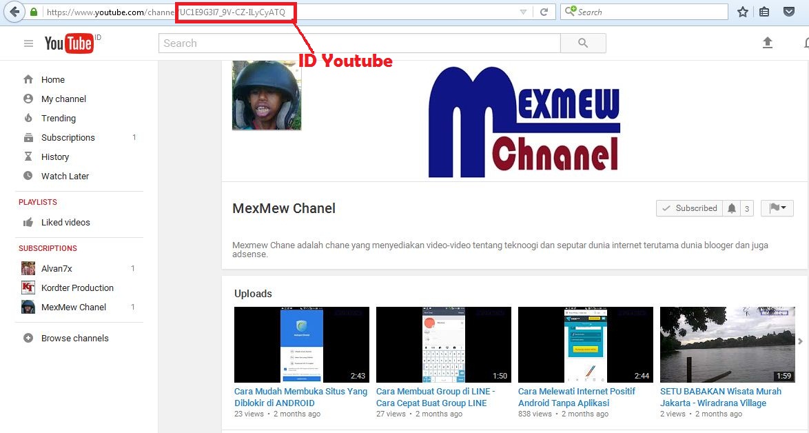 Youtube subscribe history