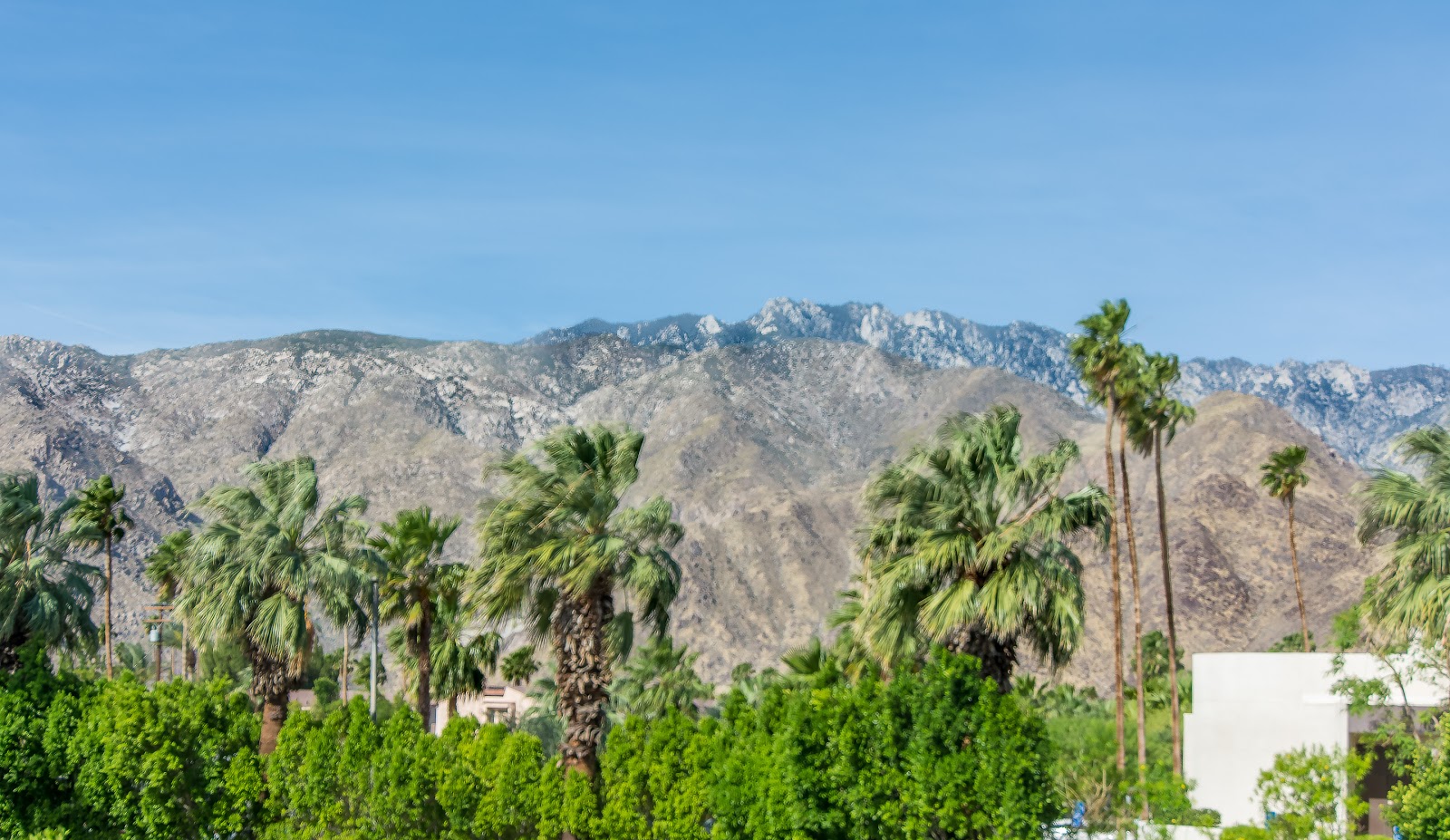 Riviera Gardens Condo Palm Springs CA Palm Springs Real Estate