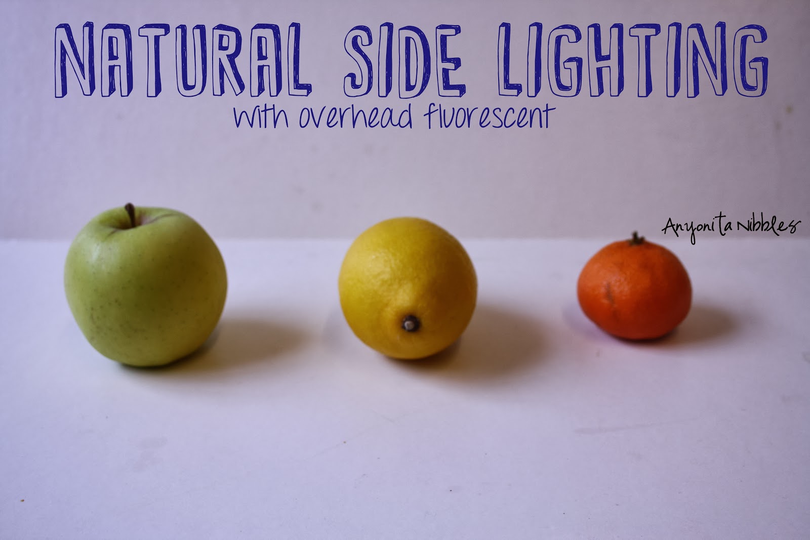 Fluorescent Kitchen Light With Two Circular Bulbs Dim Fluorescent Kitchen Light With Two Circular Bulbs Dim