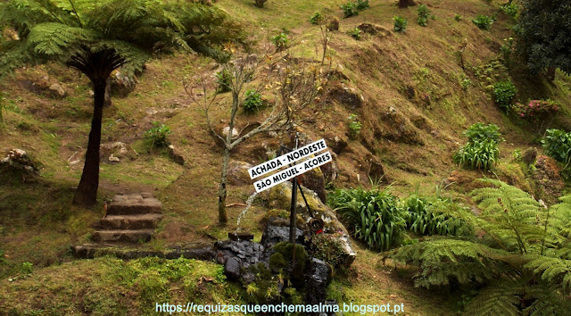 Ribeira dos Caldeirões Parque Natural da Ribeira dos Caldeirões