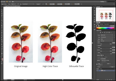 adobe illustrator cs6 torrent download for windows adobe illustrator cs6 torrent download for windows