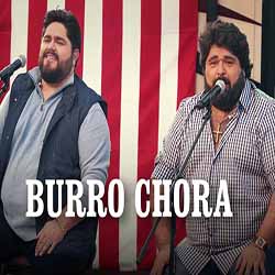 Baixar Burro Chora - César Menotti & Fabiano Direto no Celular Baixar Burro Chora - César Menotti & Fabiano Mp3
