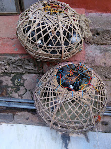 Pigeons sold outside Kamakhya Temple Complex in Guwahati.