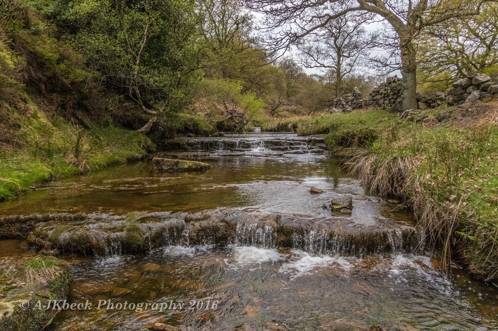 Yorkshire Waterfalls: Upper River Rye Falls
