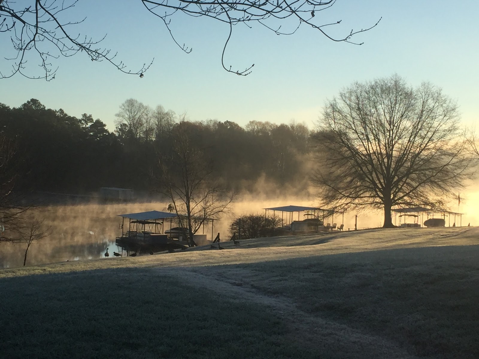 Lake Sidney Lanier Homes Blog Inventory Of Waterfront Homes For Sale