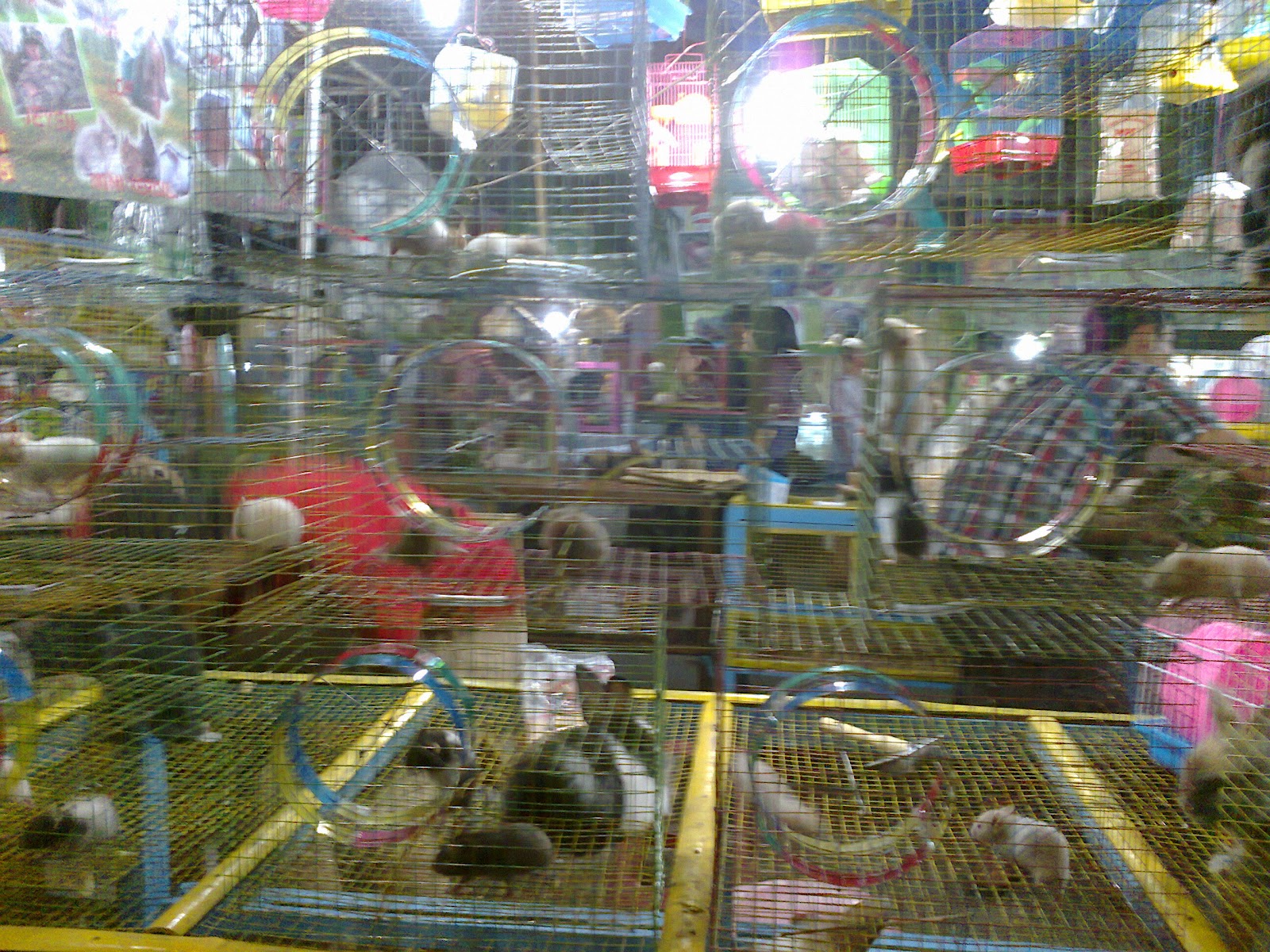 dhar@nnisa: Dandangan 2012